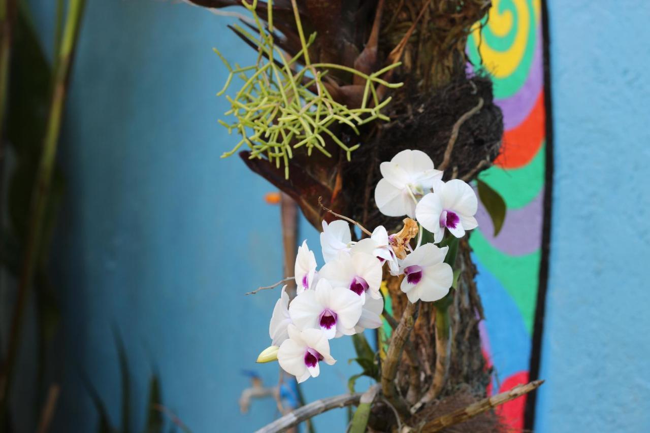 Local Friend Hostel Búzios المظهر الخارجي الصورة